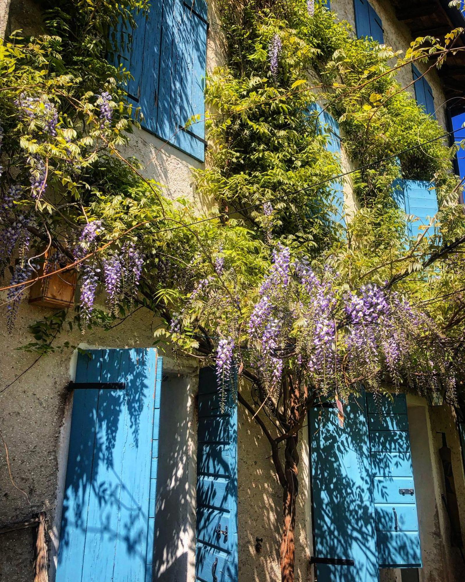 Caneva B&B Carlonga מראה חיצוני תמונה